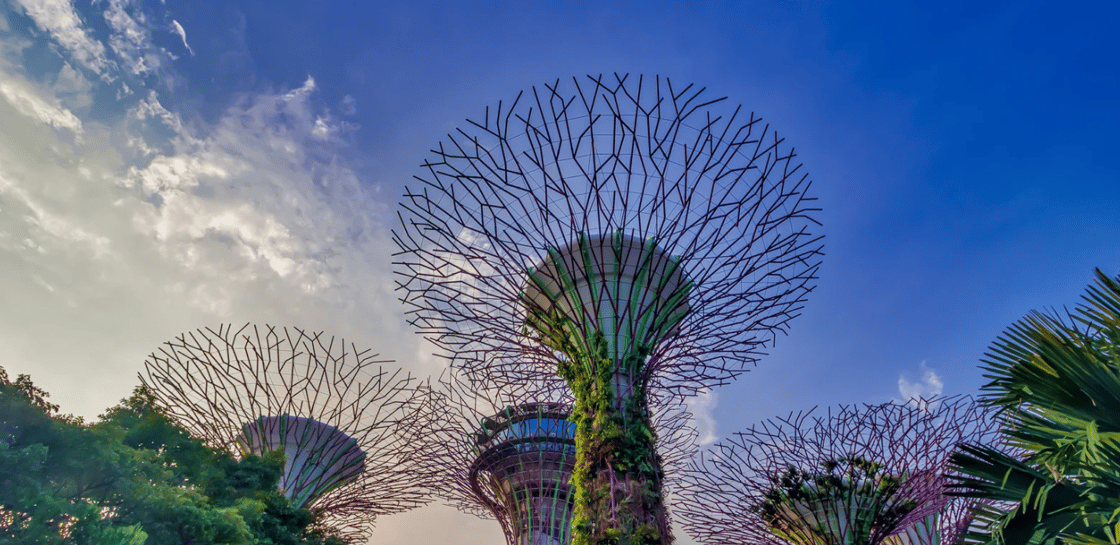 Screen Shot 2025-08-15 at 1.02.18 PM